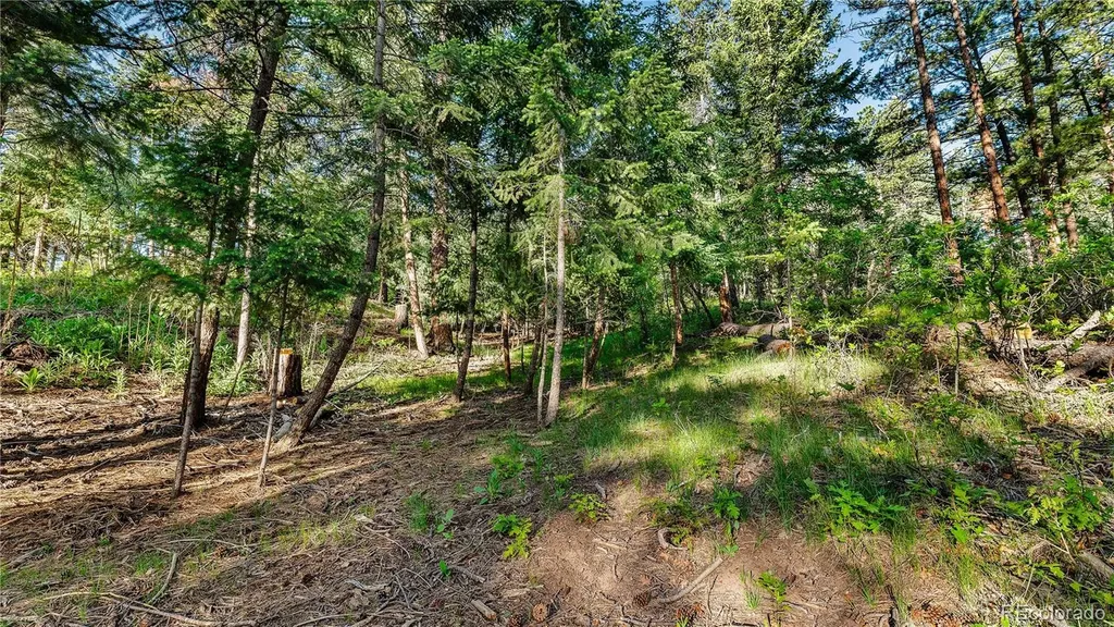 8125 Bannock Drive Larkspur CO 80118