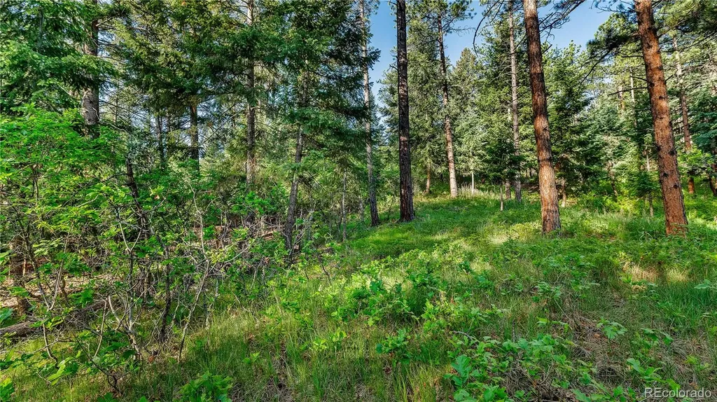 8125 Bannock Drive Larkspur CO 80118
