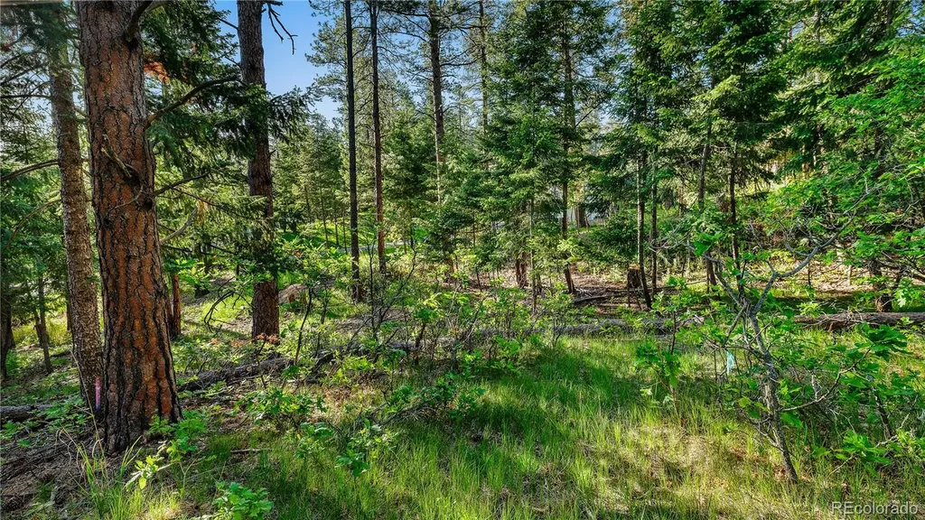 8125 Bannock Drive Larkspur CO 80118