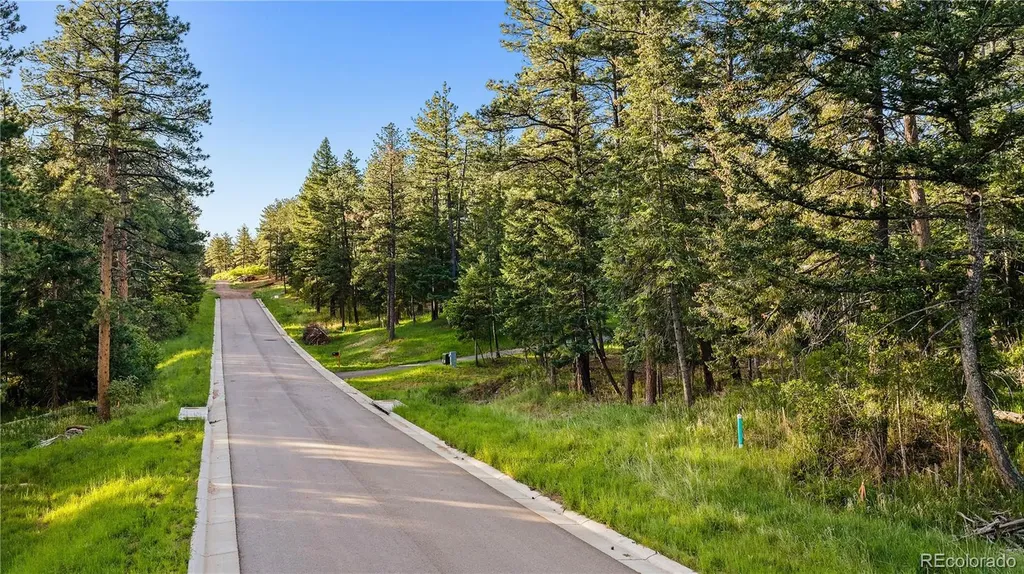 8125 Bannock Drive Larkspur CO 80118