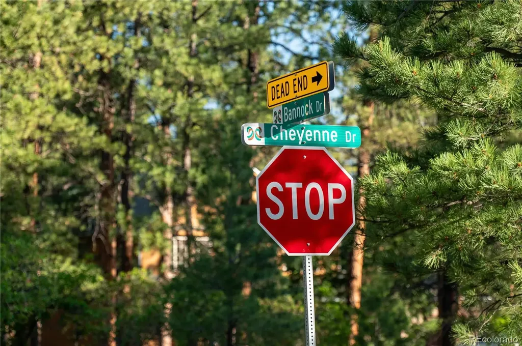 8125 Bannock Drive Larkspur CO 80118