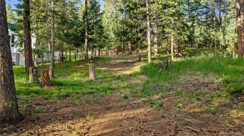 8125 Bannock Drive Larkspur CO 80118