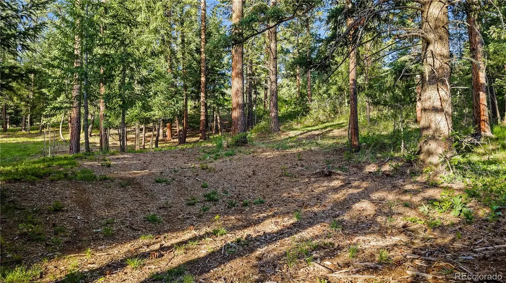 8125 Bannock Drive Larkspur CO 80118