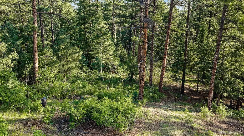 8125 Bannock Drive Larkspur CO 80118