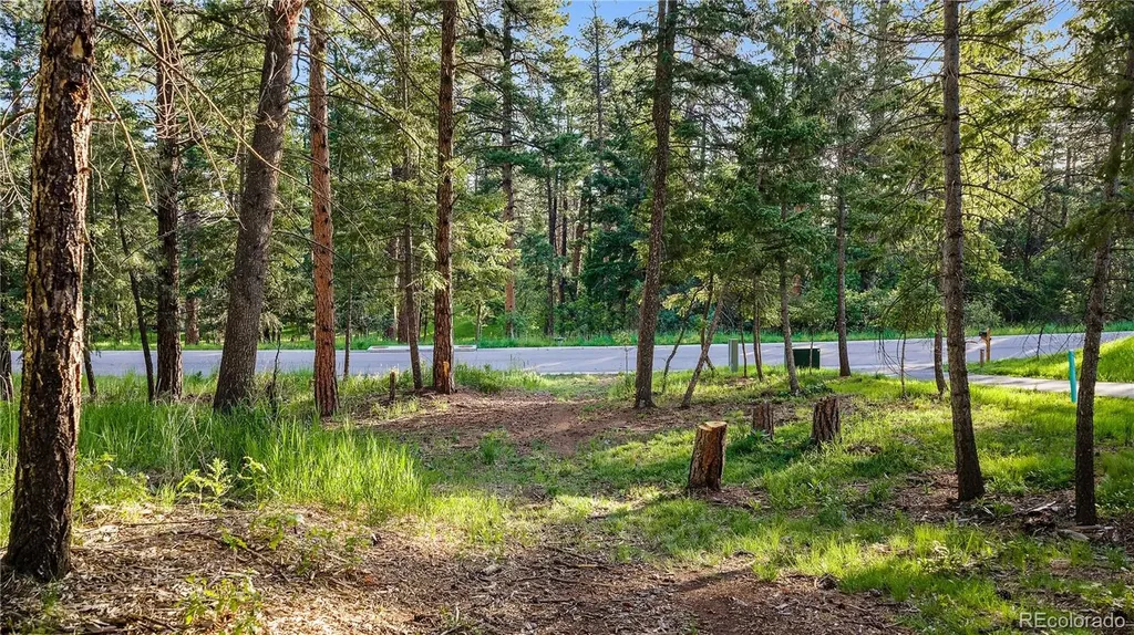 8125 Bannock Drive Larkspur CO 80118