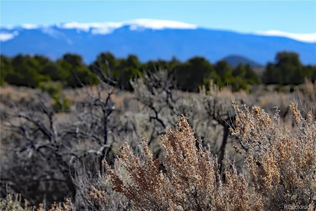 7602 Skyline Drive San Luis CO 81152