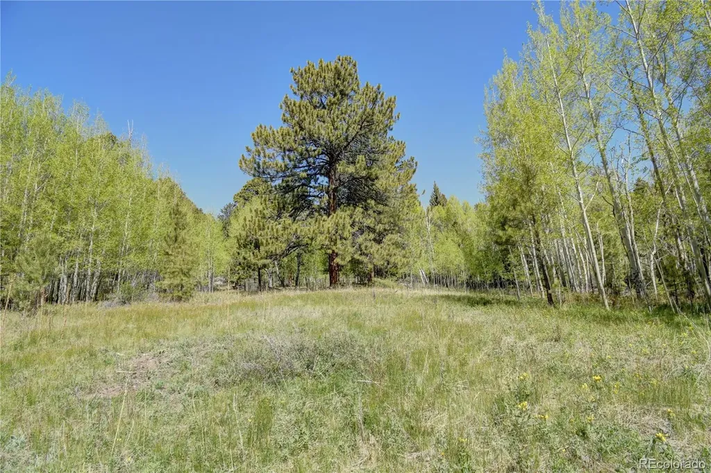 8525 County Road 225 Salida CO 81201