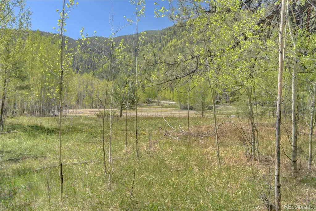 8525 County Road 225 Salida CO 81201