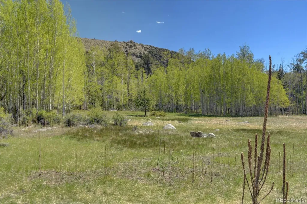 8525 County Road 225 Salida CO 81201