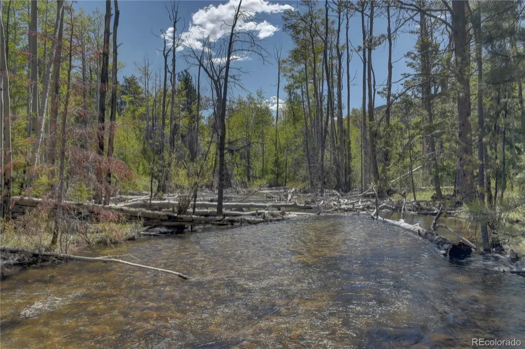 8525 County Road 225 Salida CO 81201
