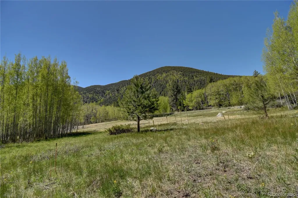 8525 County Road 225 Salida CO 81201