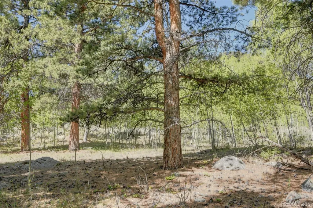 8525 County Road 225 Salida CO 81201