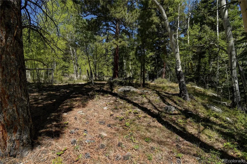 8525 County Road 225 Salida CO 81201