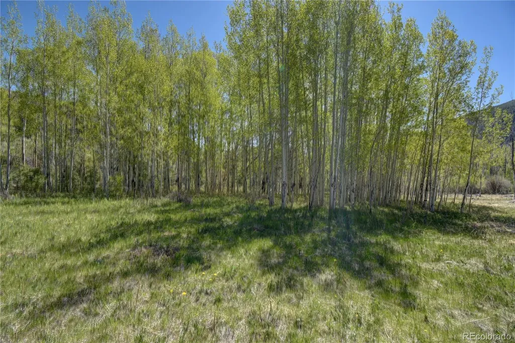 8525 County Road 225 Salida CO 81201