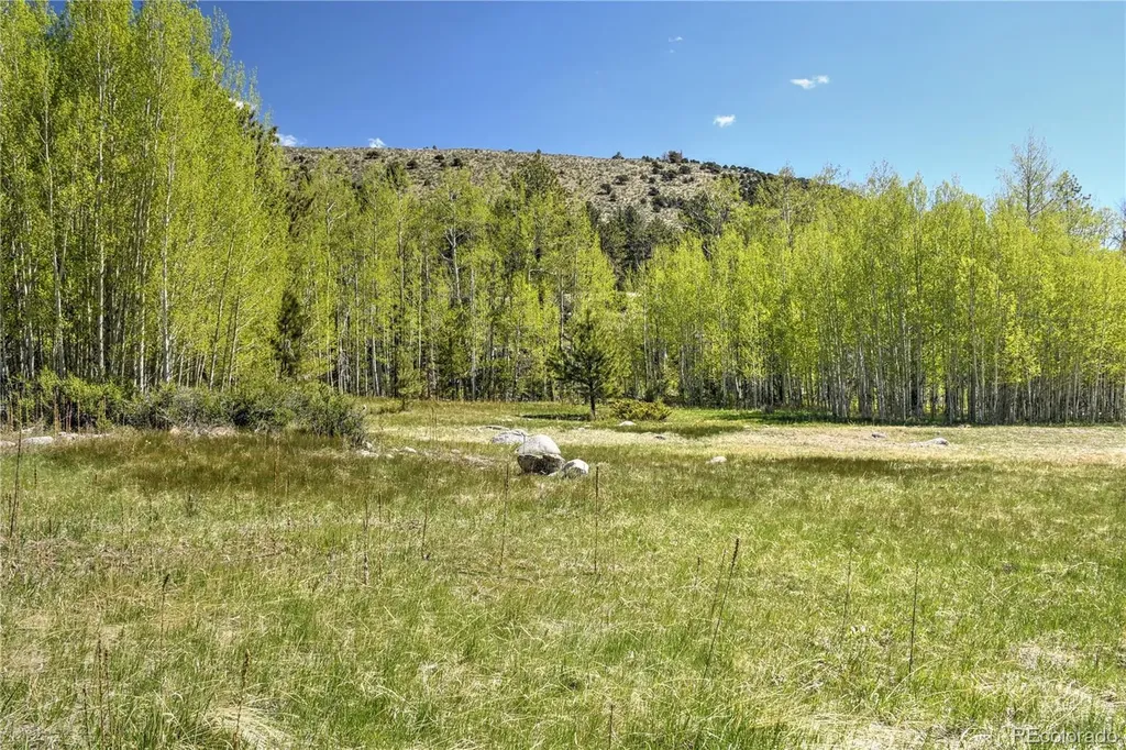 8525 County Road 225 Salida CO 81201