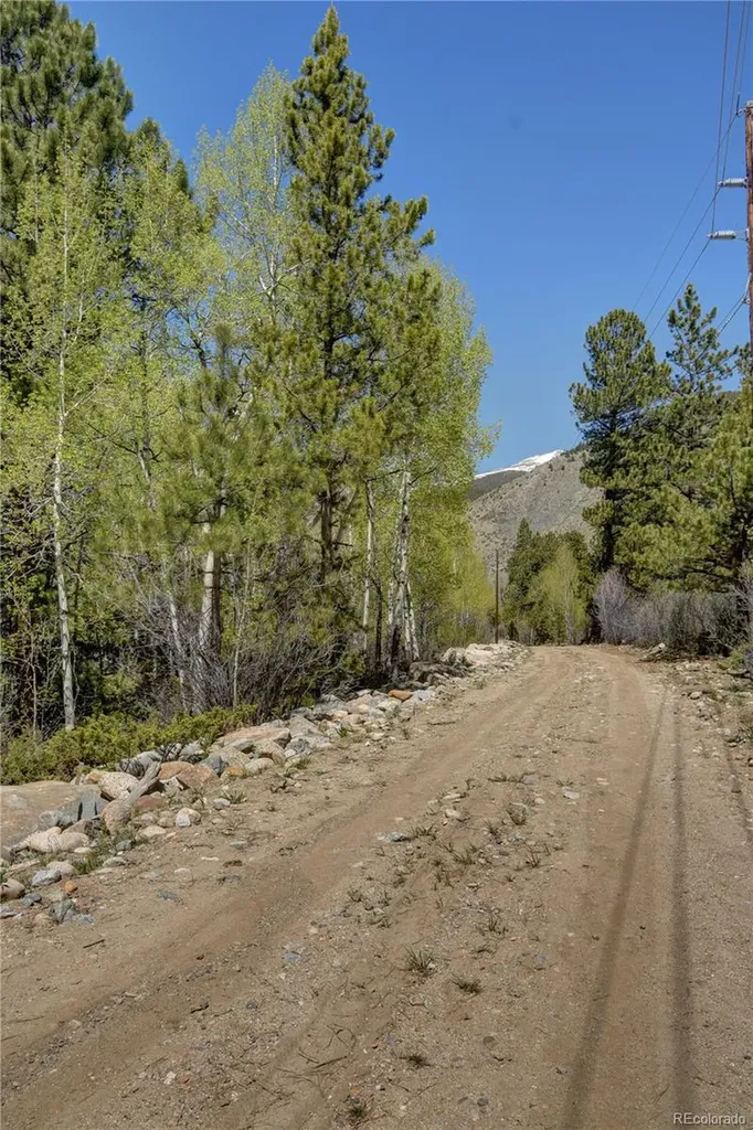 8525 County Road 225 Salida CO 81201