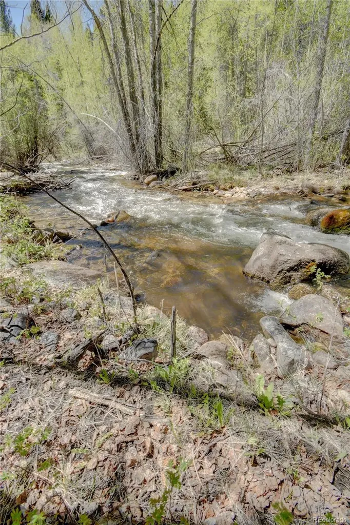 8525 County Road 225 Salida CO 81201