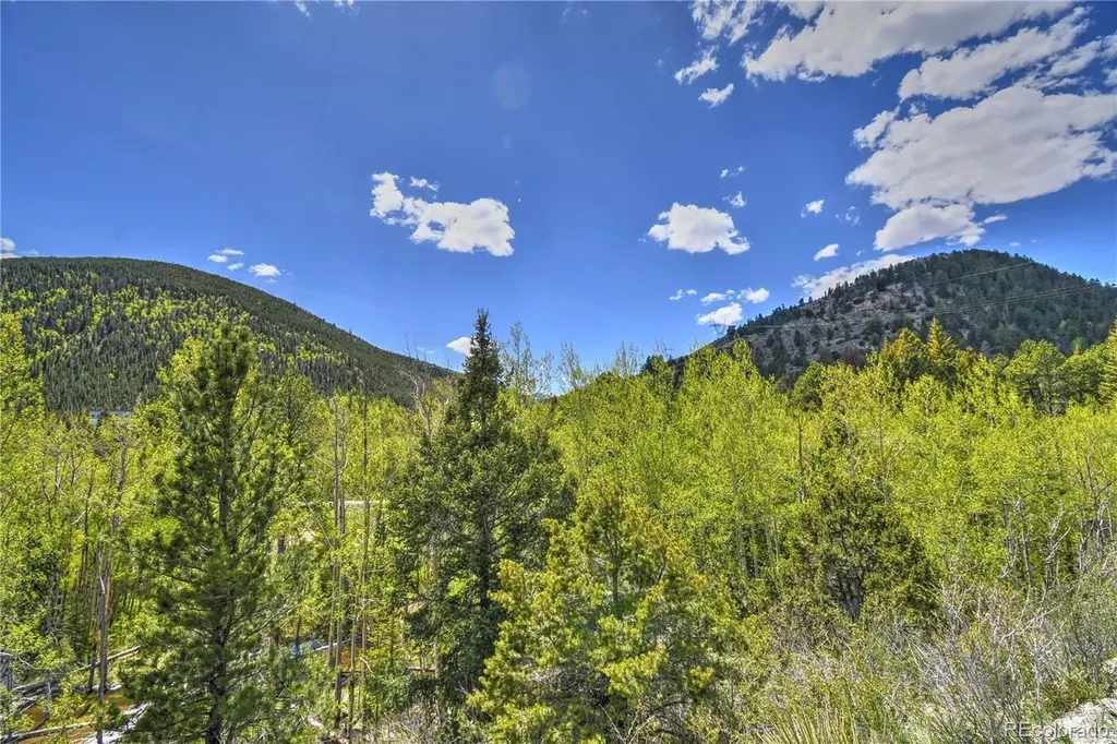 8525 County Road 225 Salida CO 81201