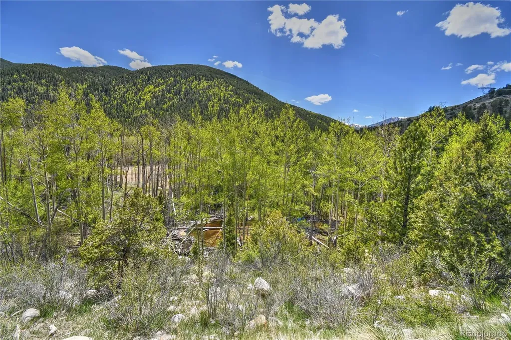 8525 County Road 225 Salida CO 81201