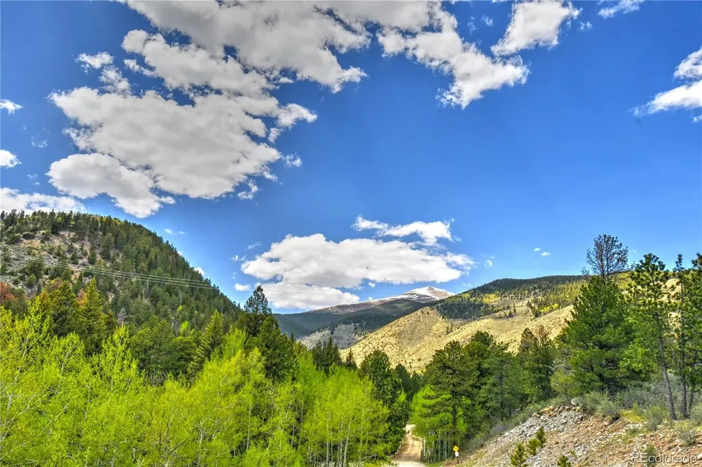 8525 County Road 225 Salida CO 81201