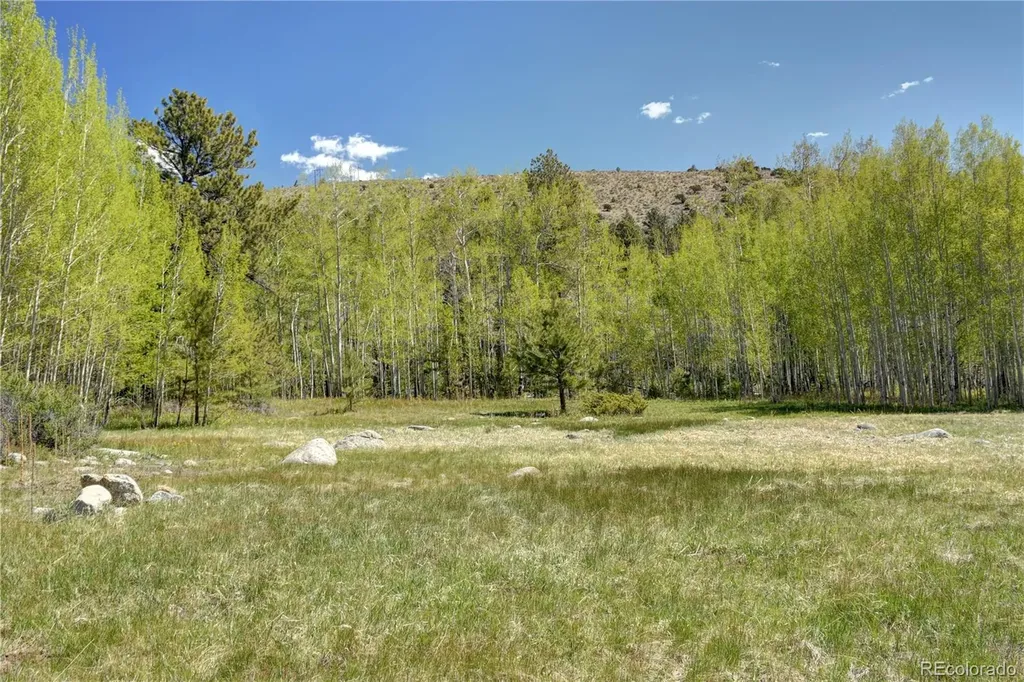 8525 County Road 225 Salida CO 81201