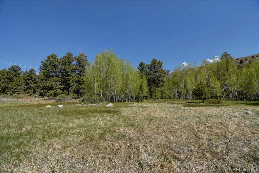 8525 County Road 225 Salida CO 81201