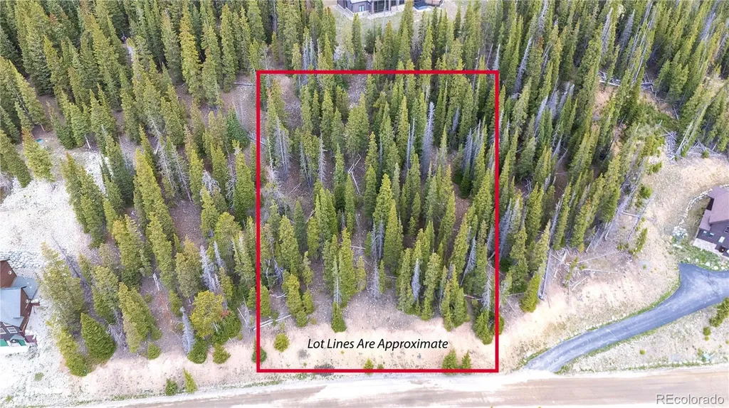 301 Kimmes Lane Breckenridge CO 80424