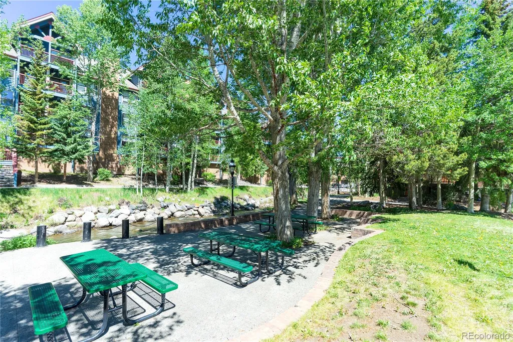 301 Kimmes Lane Breckenridge CO 80424