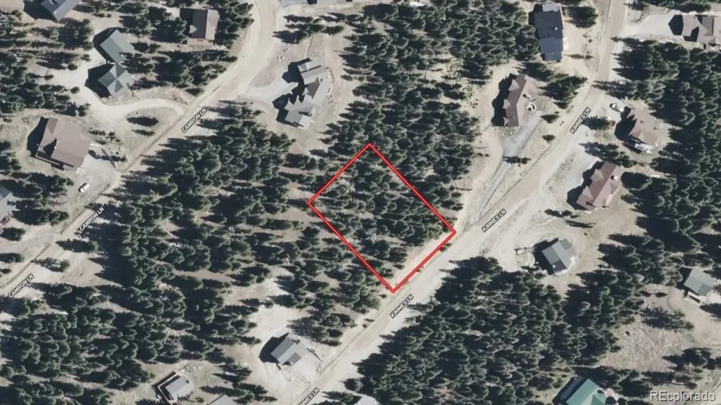 301 Kimmes Lane Breckenridge CO 80424