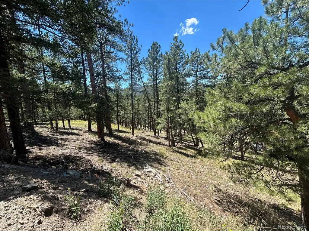 0 Pine Pine Evergreen CO 80439