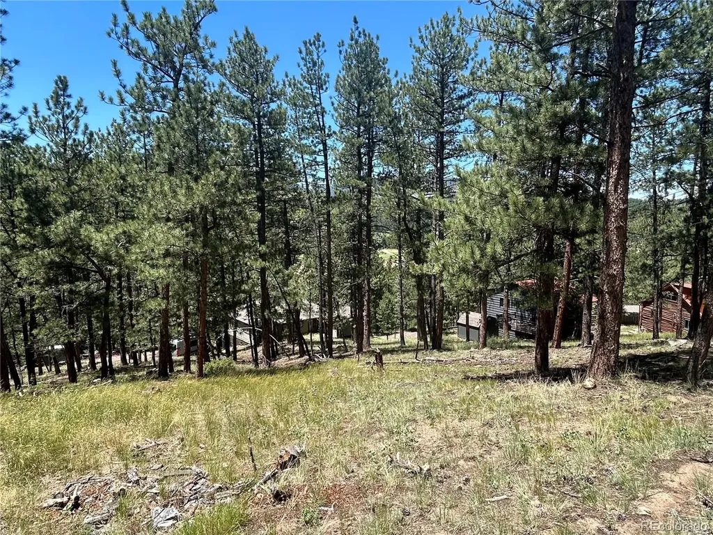 0 Pine Pine Evergreen CO 80439
