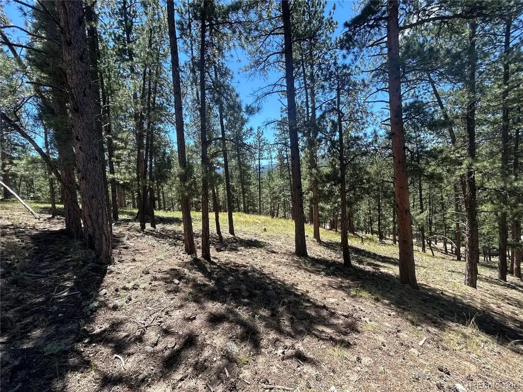 0 Pine Pine Evergreen CO 80439