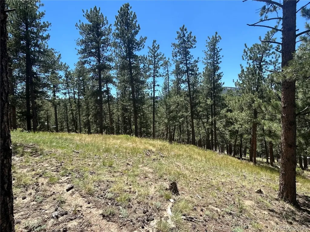 0 Pine Pine Evergreen CO 80439