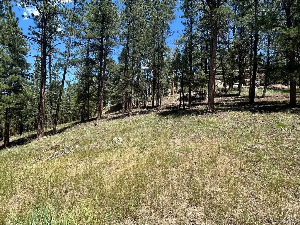 0 Pine Pine Evergreen CO 80439