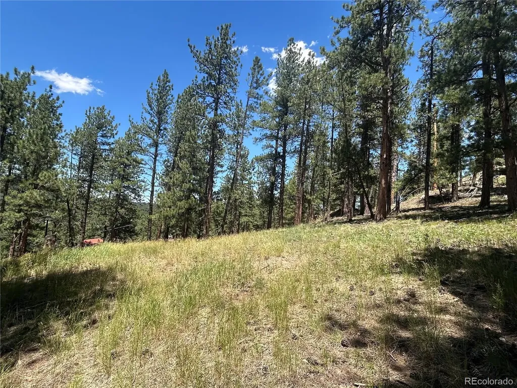 0 Pine Pine Evergreen CO 80439