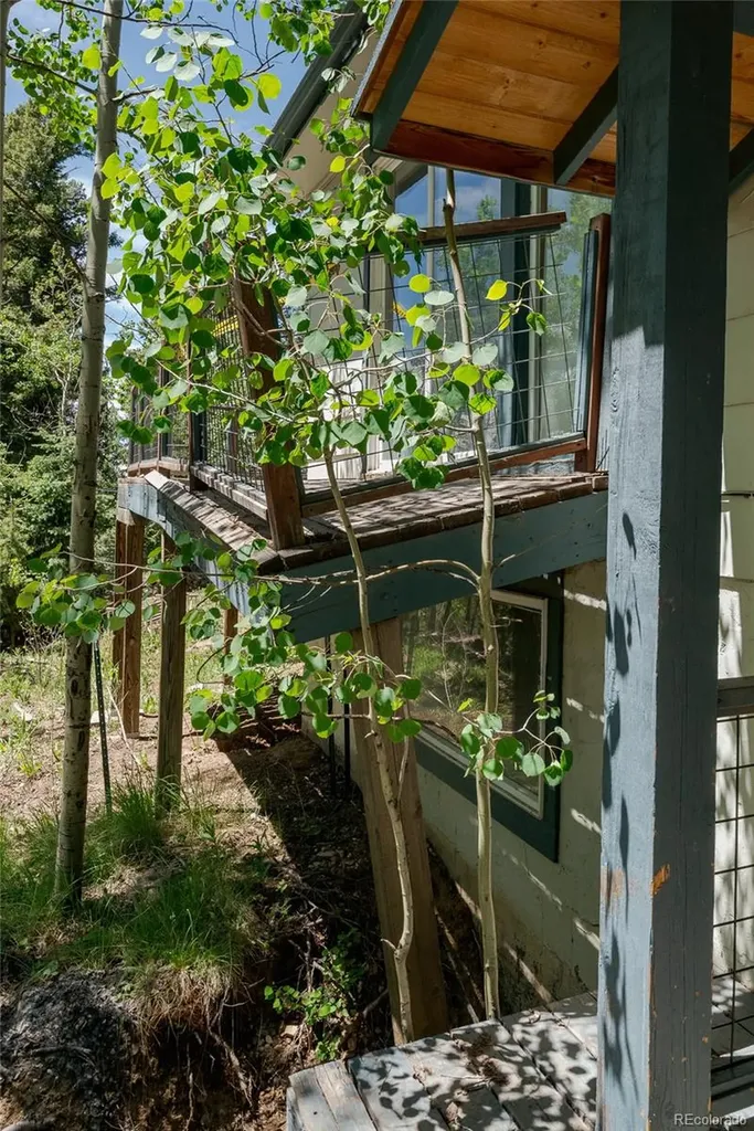 11682 Baca Road Conifer CO 80433