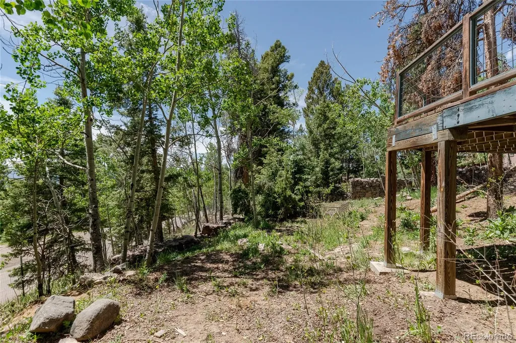 11682 Baca Road Conifer CO 80433