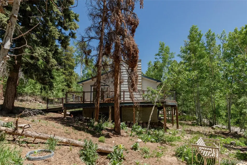 11682 Baca Road Conifer CO 80433