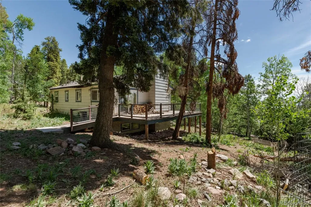 11682 Baca Road Conifer CO 80433