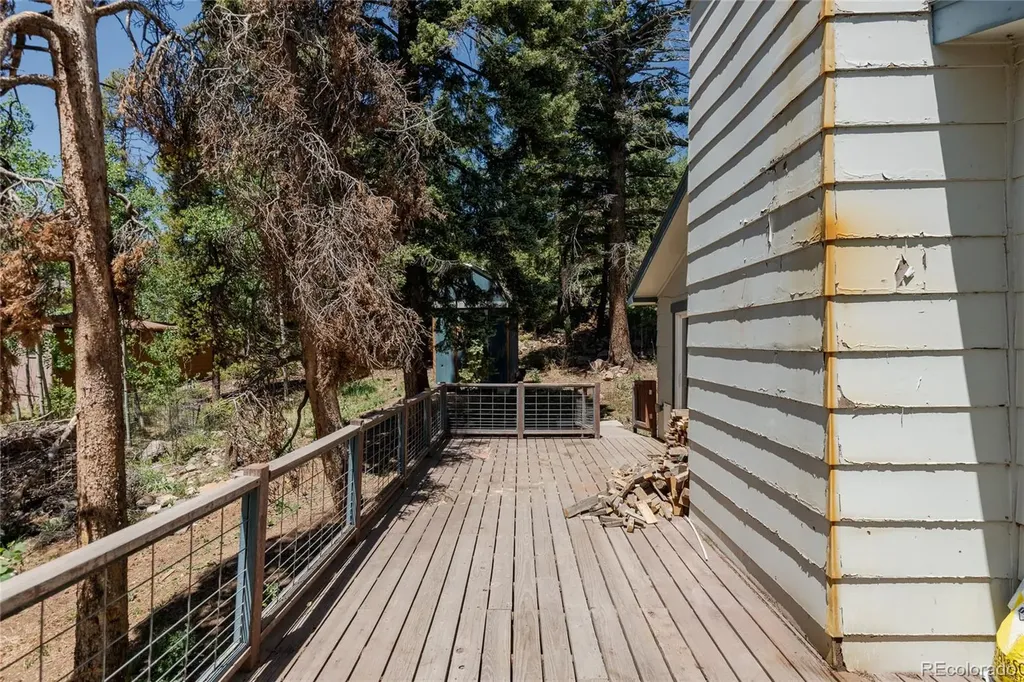 11682 Baca Road Conifer CO 80433