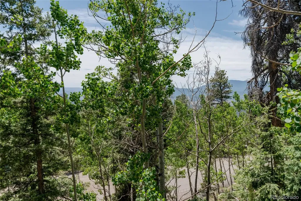 11682 Baca Road Conifer CO 80433