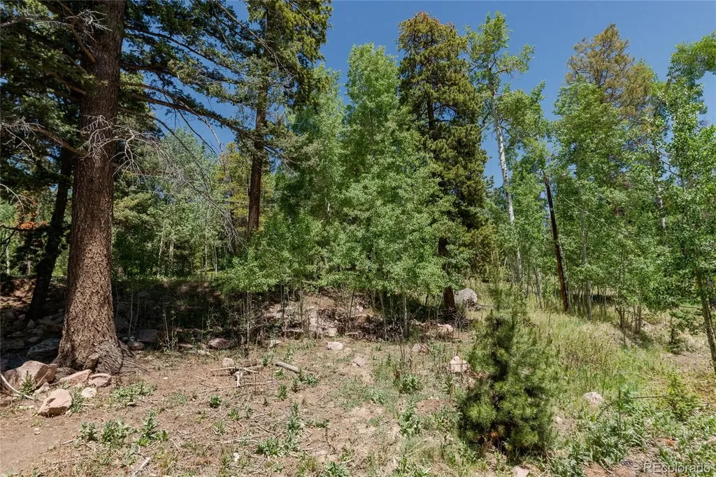 11682 Baca Road Conifer CO 80433