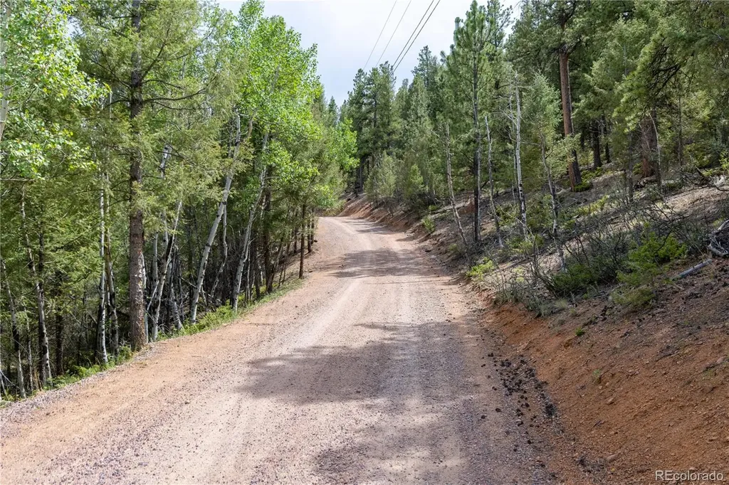 12397 S Cindy Avenue Pine CO 80470