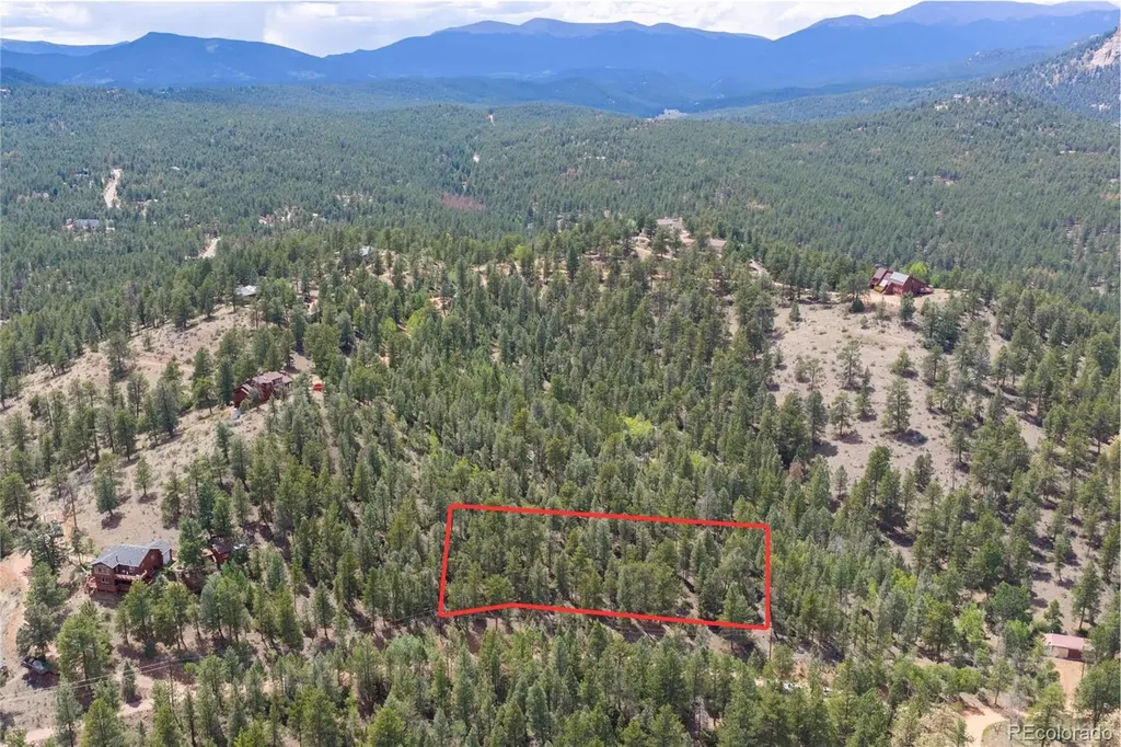 12397 S Cindy Avenue Pine CO 80470