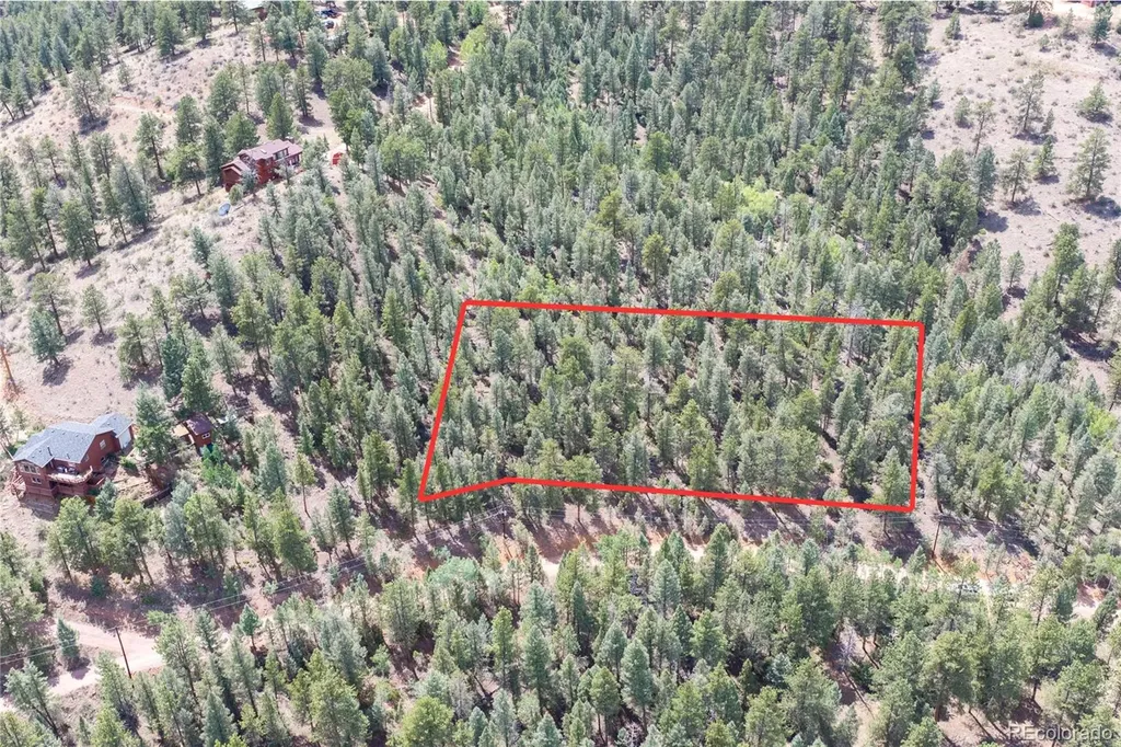 12397 S Cindy Avenue Pine CO 80470