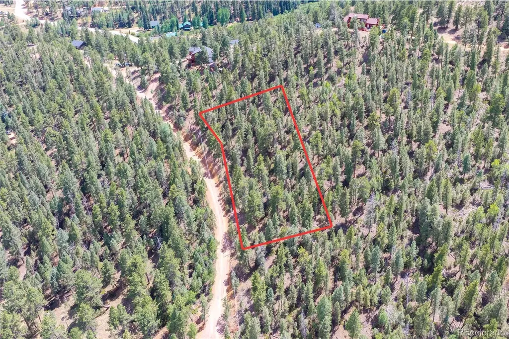 12397 S Cindy Avenue Pine CO 80470