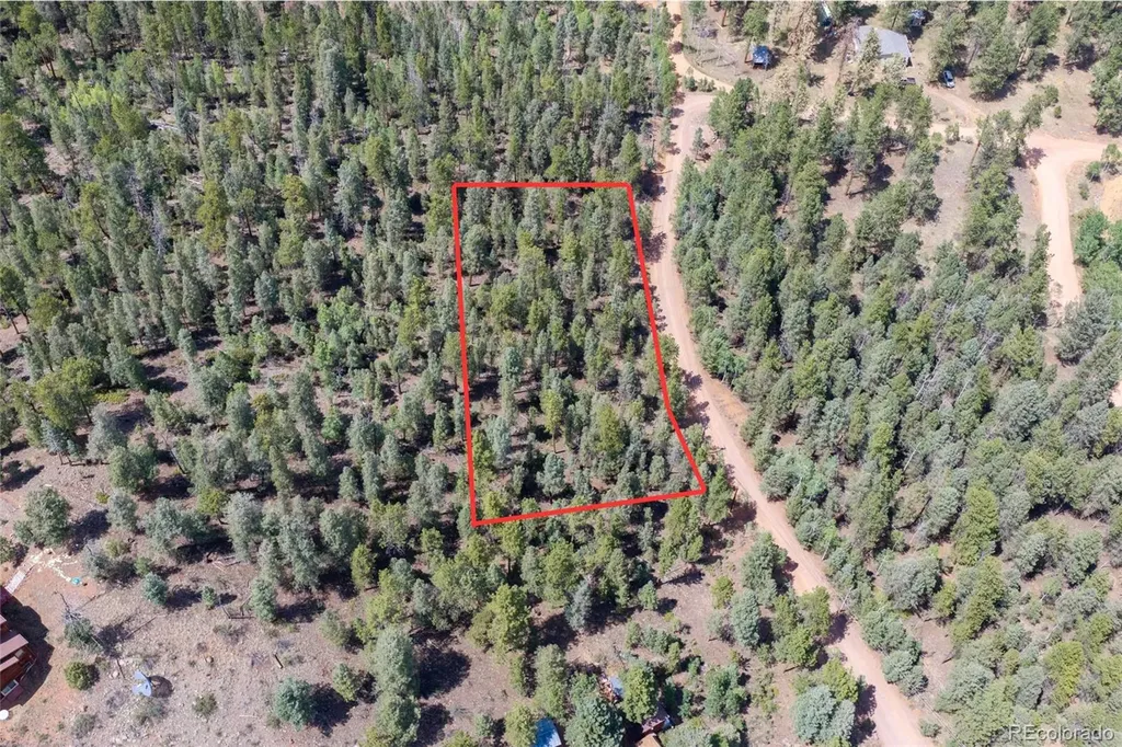 12397 S Cindy Avenue Pine CO 80470