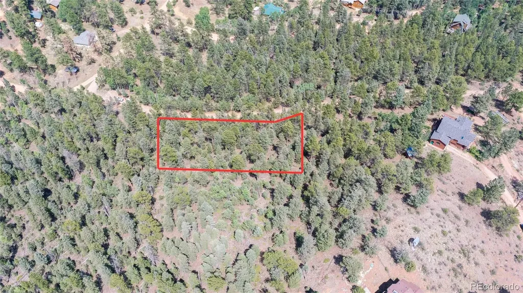 12397 S Cindy Avenue Pine CO 80470