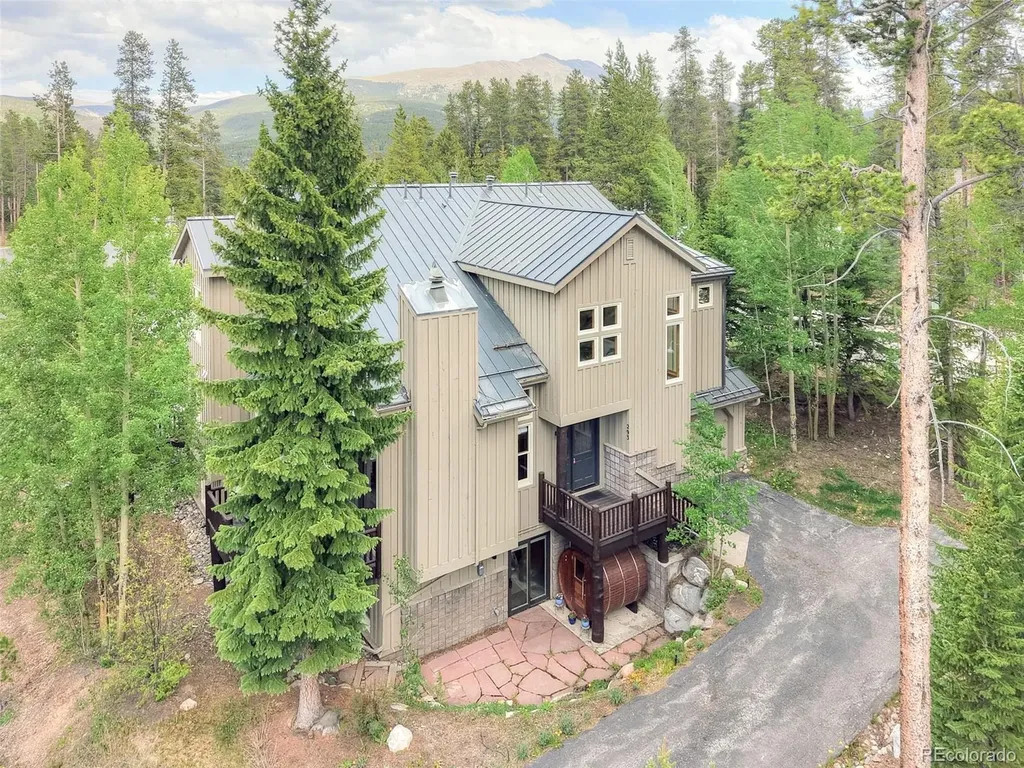 293 Settlers Drive Breckenridge CO 80424