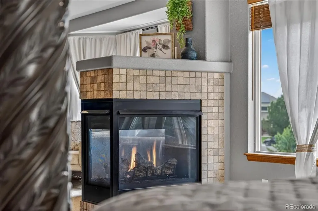 7414 Halite Court Castle Rock CO 80108